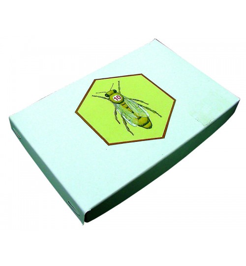 Opalithplättchen Set 5 Jahresfarben