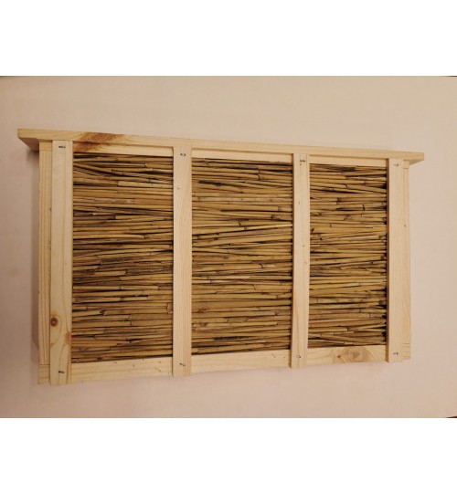 Thermoschied mit Schilfrohr für Zander Jumbo Liebig