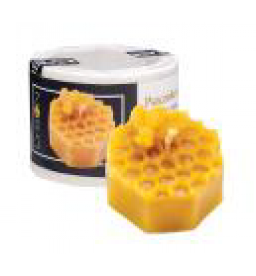 Wabenstück mit Biene