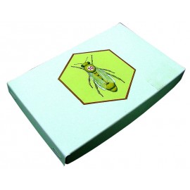 Opalithplättchen Set 5 Jahresfarben