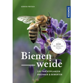 Bienenweide 