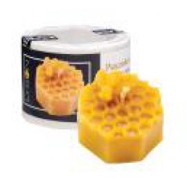 Wabenstück mit Biene