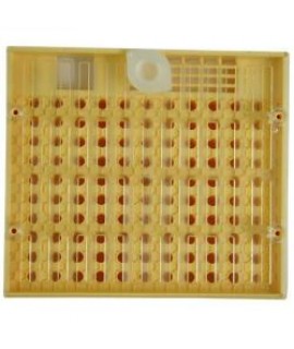 Zuchtkasette - Cupularve original Nicot